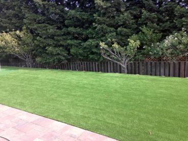 Artificial Grass Photos: Best Artificial Grass Coulee City, Washington Lawn And Garden, Beautiful Backyards