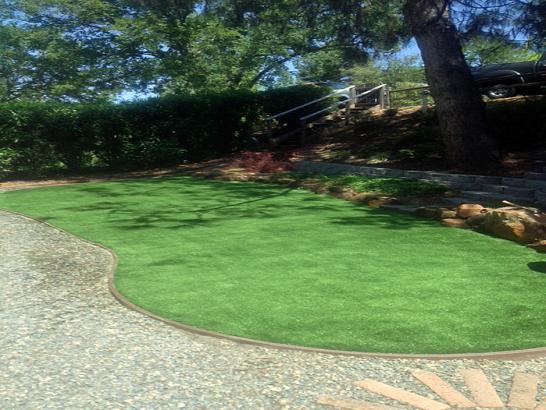 Artificial Grass Photos: Best Artificial Grass Dixie, Washington Lawns, Backyard Makeover