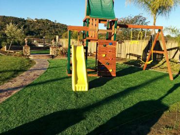 Artificial Grass Photos: Best Artificial Grass Parkland, Washington Lawns, Small Backyard Ideas