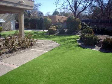 Artificial Grass Photos: Best Artificial Grass Silver Firs, Washington Landscaping, Front Yard Design