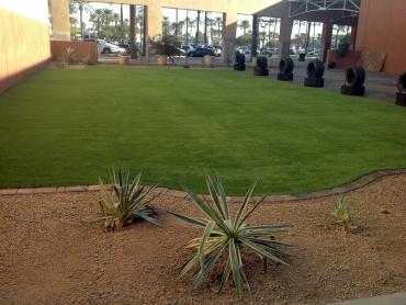 Artificial Grass Photos: Best Artificial Grass Startup, Washington Lawn And Landscape, Commercial Landscape