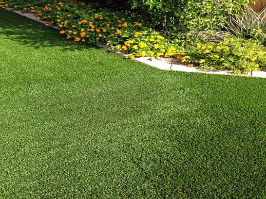 Artificial Grass Photos: Fake Grass Baring, Washington Lawn And Garden, Front Yard Landscaping Ideas