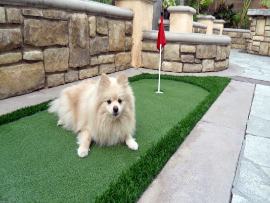 Artificial Grass Photos: Fake Grass Birch Bay, Washington Indoor Putting Green, Backyard Designs