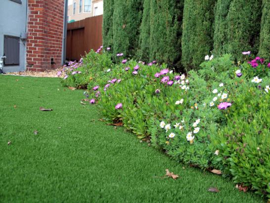 Artificial Grass Photos: Fake Grass Carpet Bonney Lake, Washington Roof Top, Front Yard