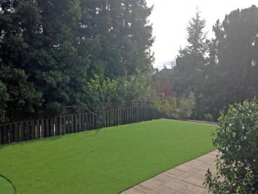 Artificial Grass Photos: Fake Grass Carpet Carbonado, Washington Landscape Photos, Small Backyard Ideas