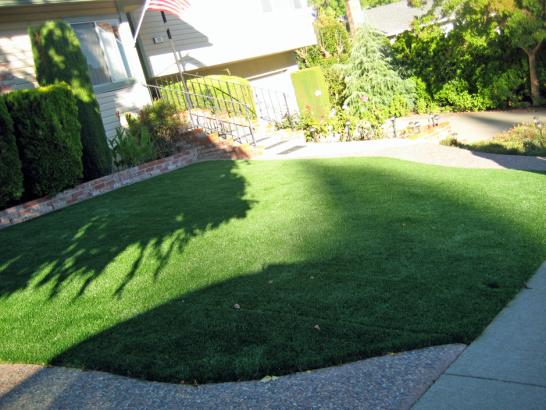 Artificial Grass Photos: Fake Grass Carpet Custer, Washington Backyard Playground, Front Yard Landscape Ideas