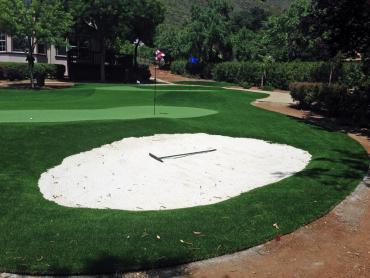 Artificial Grass Photos: Fake Grass Carpet DuPont, Washington Putting Green Carpet, Front Yard Design