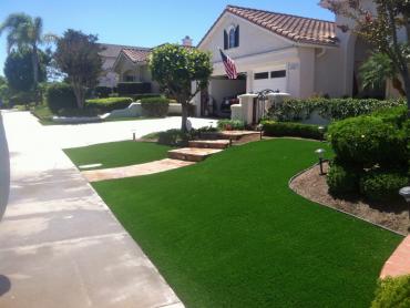 Artificial Grass Photos: Fake Grass Carpet Eastgate, Washington Landscape Design, Landscaping Ideas For Front Yard