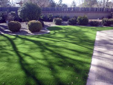 Artificial Grass Photos: Fake Grass Carpet Esperance, Washington Landscape Ideas, Landscaping Ideas For Front Yard