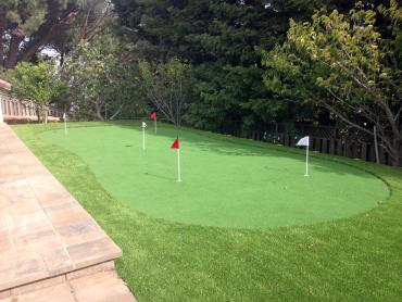 Artificial Grass Photos: Fake Grass Carpet Fairfield, Washington Indoor Putting Greens, Backyard Landscaping