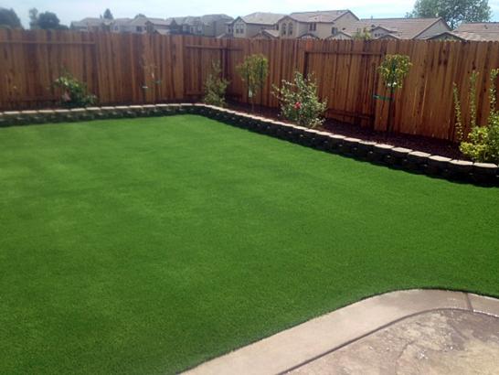 Fake Grass Carpet Glacier, Washington Design Ideas, Backyard Landscaping artificial grass