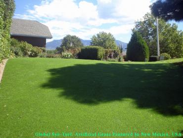 Artificial Grass Photos: Fake Grass Carpet Kent, Washington Dog Hospital, Backyard Landscape Ideas