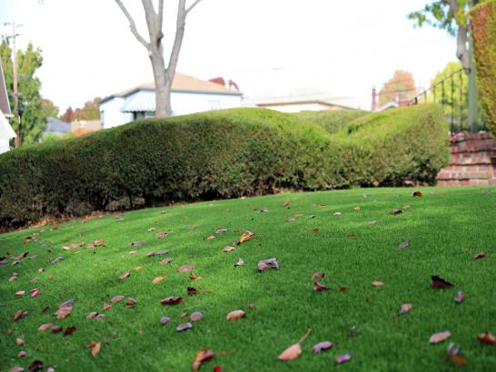 Artificial Grass Photos: Fake Grass Carpet Kent, Washington Home And Garden, Front Yard Design