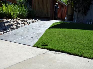 Artificial Grass Photos: Fake Grass Carpet Lind, Washington Landscape Design, Small Front Yard Landscaping