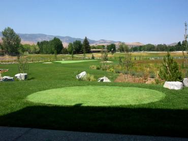 Artificial Grass Photos: Fake Grass Carpet Morton, Washington Putting Green Flags, Backyard Designs