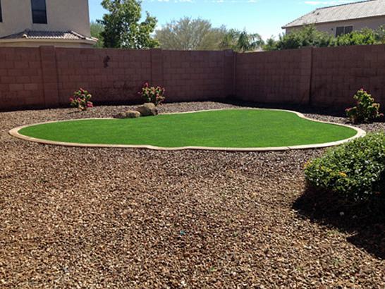 Artificial Grass Photos: Fake Grass Carpet Mountlake Terrace, Washington Gardeners, Backyard