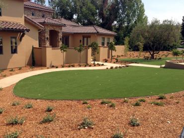 Artificial Grass Photos: Fake Grass Carpet Parkwood, Washington Landscape Design, Landscaping Ideas For Front Yard