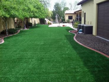 Artificial Grass Photos: Fake Grass Carpet SeaTac, Washington Gardeners, Backyard