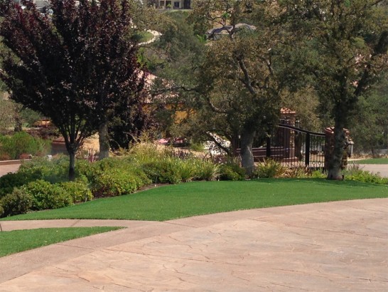 Artificial Grass Photos: Fake Grass Carpet Selah, Washington Landscape Rock, Backyard Landscaping