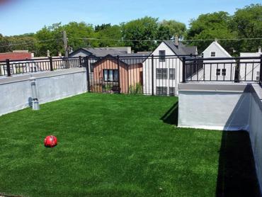 Artificial Grass Photos: Fake Grass Carpet Snohomish, Washington Landscape Photos, Roof Top