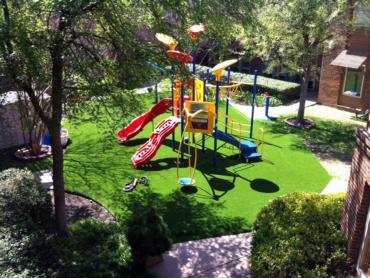 Artificial Grass Photos: Fake Grass Carpet Toppenish, Washington Playground Safety, Commercial Landscape