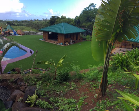 Artificial Grass Photos: Fake Grass Deer Park, Washington Design Ideas, Above Ground Swimming Pool