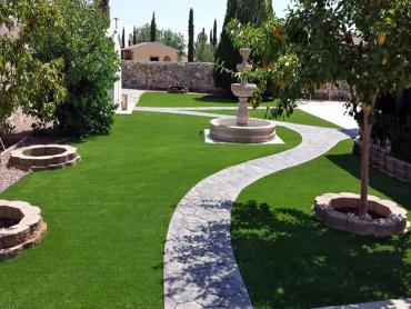 Artificial Grass Photos: Fake Grass Fall City, Washington Landscaping Business, Backyard Designs