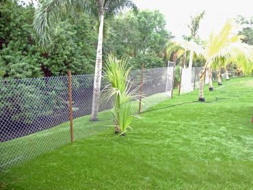 Artificial Grass Photos: Fake Grass Gleed, Washington Backyard Playground, Backyard Landscaping Ideas