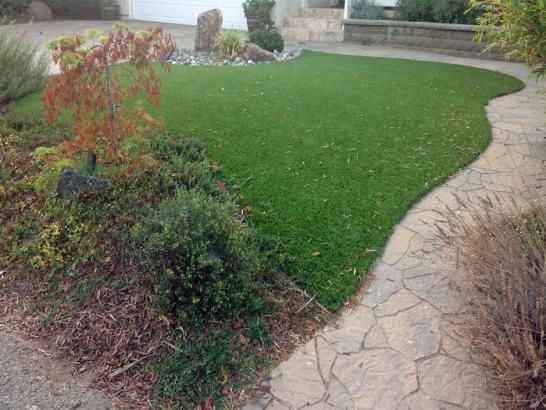 Artificial Grass Photos: Fake Grass Marysville, Washington Backyard Playground, Backyard Designs