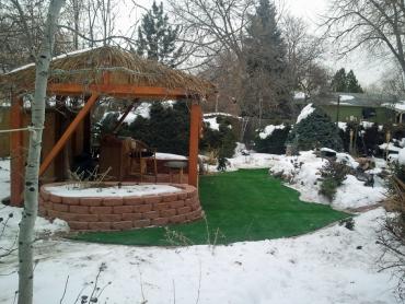 Artificial Grass Photos: Fake Grass Navy Yard City, Washington Paver Patio, Cold Climate