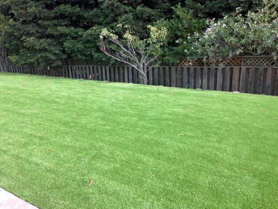 Artificial Grass Photos: Fake Grass Rockford, Washington Lawn And Garden, Backyard Garden Ideas