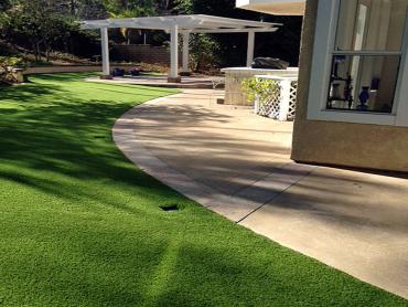 Artificial Grass Photos: Fake Grass Sequim, Washington Dog Grass, Front Yard Ideas