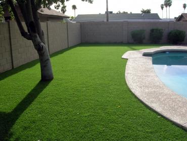 Artificial Grass Photos: Fake Lawn Carlsborg, Washington Landscape Ideas, Beautiful Backyards