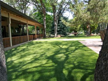 Artificial Grass Photos: Fake Lawn Eatonville, Washington Artificial Turf For Dogs, Backyard Makeover