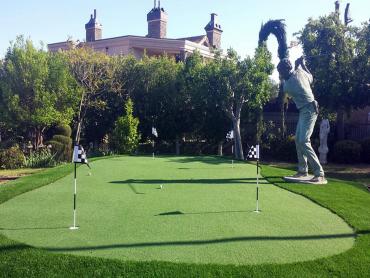 Artificial Grass Photos: Fake Lawn John Sam Lake, Washington Design Ideas, Backyard Ideas