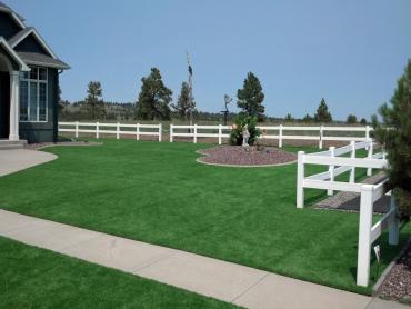 Artificial Grass Photos: Fake Lawn Leavenworth, Washington Landscaping, Backyard Ideas