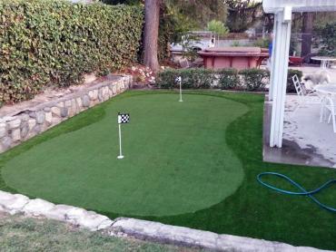 Artificial Grass Photos: Fake Lawn Lyle, Washington Lawn And Landscape, Backyards