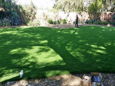 Artificial Grass Photos: Fake Lawn May Creek, Washington Landscape Design, Backyards