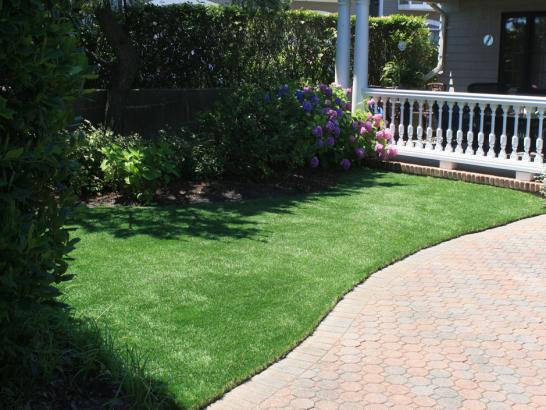 Artificial Grass Photos: Fake Lawn Orcas, Washington Cat Playground, Front Yard