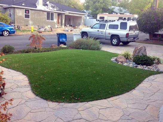 Artificial Grass Photos: Fake Lawn Riverside, Washington Design Ideas, Small Front Yard Landscaping