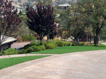 Artificial Grass Photos: Fake Lawn South Cle Elum, Washington Lawn And Garden, Front Yard