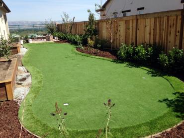 Artificial Grass Photos: Fake Lawn Waterville, Washington Landscaping Business, Beautiful Backyards