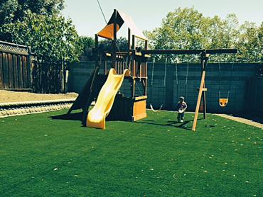 Artificial Grass Photos: Fake Turf Carnation, Washington Playground Turf, Backyard Landscaping