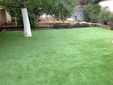 Artificial Grass Photos: Fake Turf Dash Point, Washington Lawns, Backyards