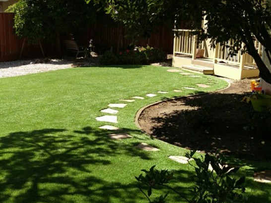 Fake Turf Esperance, Washington Backyard Playground, Backyards artificial grass