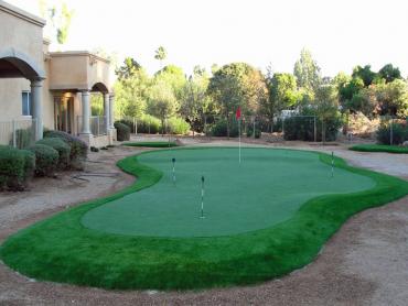 Artificial Grass Photos: Fake Turf Kalama, Washington How To Build A Putting Green, Backyard