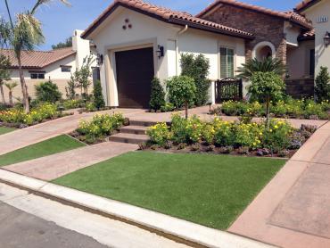 Artificial Grass Photos: Fake Turf Lake Roesiger, Washington Lawn And Landscape, Front Yard Landscape Ideas