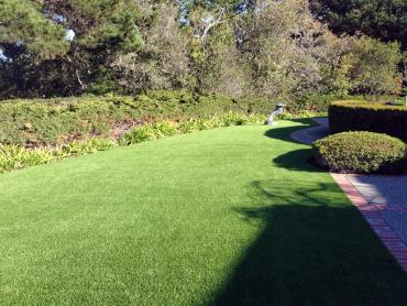 Artificial Grass Photos: Fake Turf Longbranch, Washington Landscaping, Small Front Yard Landscaping