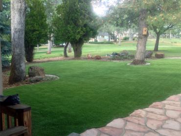 Artificial Grass Photos: Fake Turf Mattawa, Washington Landscape Design, Front Yard Landscape Ideas