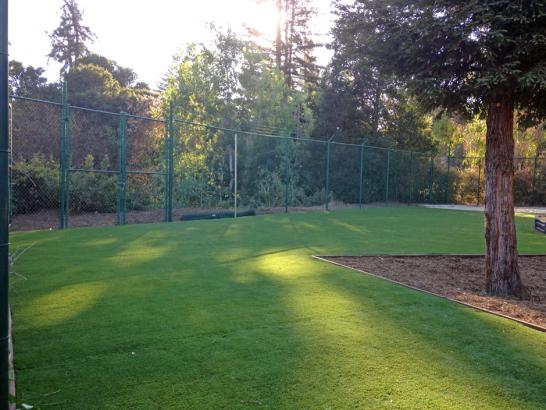 Artificial Grass Photos: Fake Turf Oyehut, Washington Landscape Design, Parks